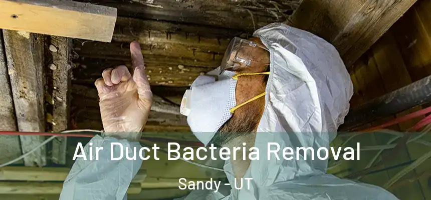  Air Duct Bacteria Removal Sandy - UT