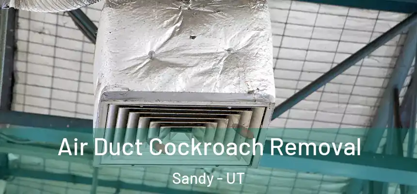  Air Duct Cockroach Removal Sandy - UT