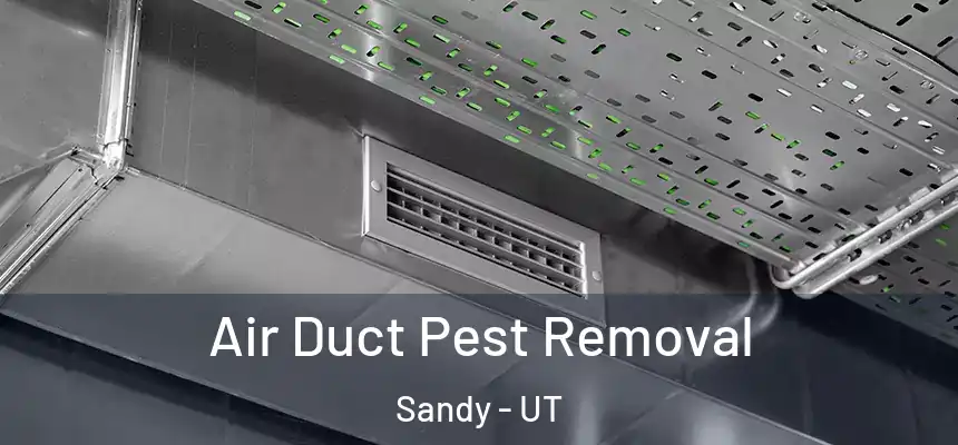  Air Duct Pest Removal Sandy - UT