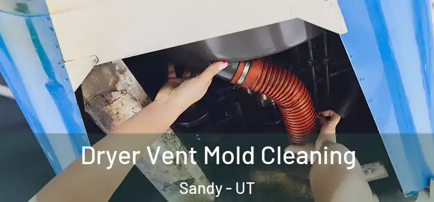  Dryer Vent Mold Cleaning Sandy - UT