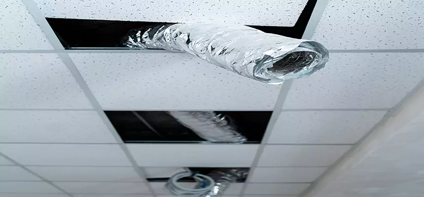 Our Air Duct Pet Hair Removal Services in Sandy, UT