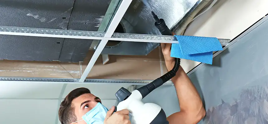 Our Air Duct Rodent Removal Services in Sandy, UT
