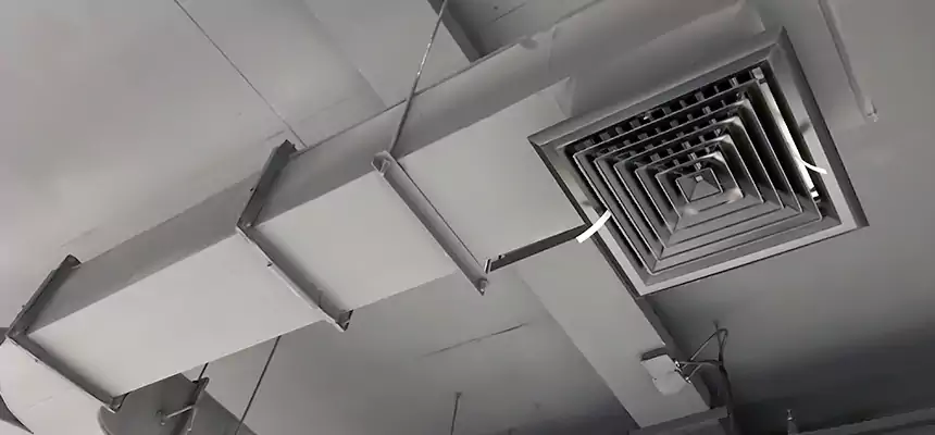 Restorative Allergy Relief Vent Cleaning – Coil, Blower & Housing Detail in Sandy