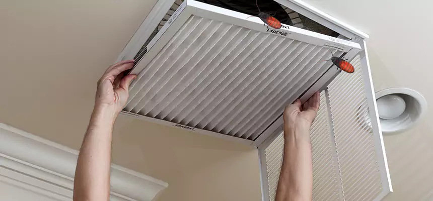 Our Insect Removal from Air Ducts Services in Sandy, UT