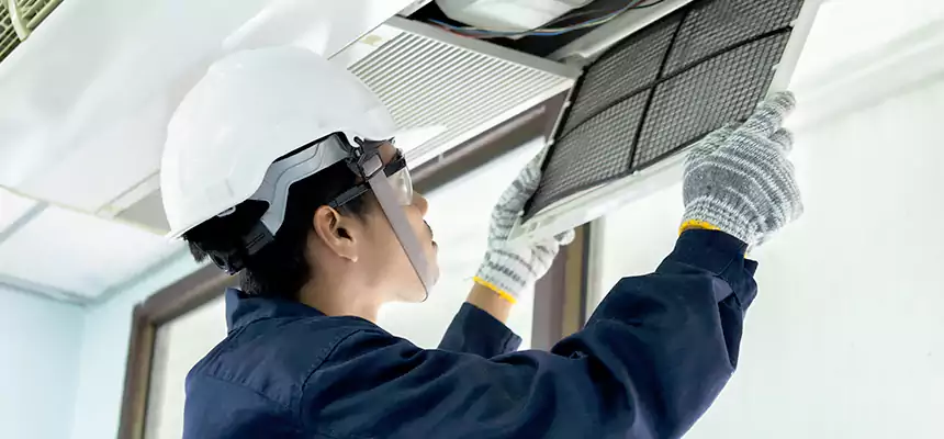 Our Mold & Mildew Removal from Air Ducts Services in Sandy, UT