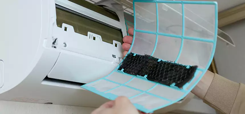 Gentle Ductwork Odor-Control Pet Dander Duct Cleaning in Sandy, UT