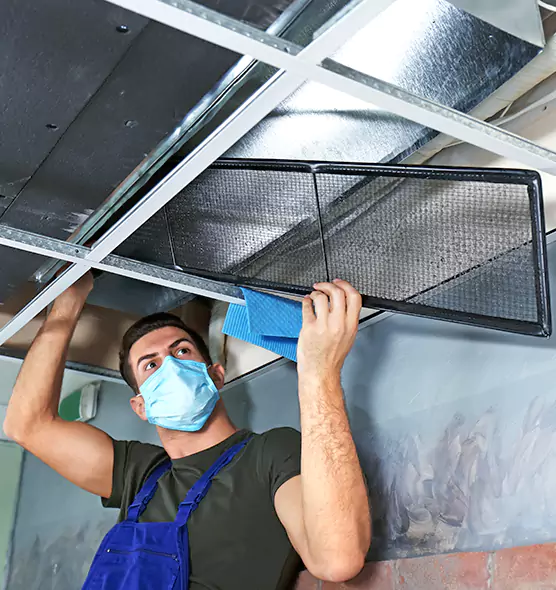 About Air Duct Bacteria Removal in Sandy