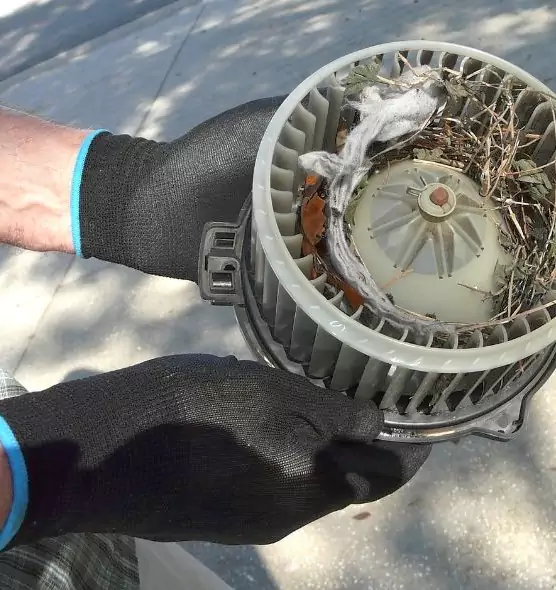 About Air Duct Mice Removal in Sandy, UT