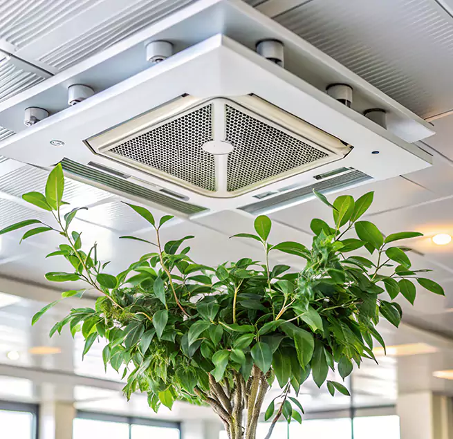 Why Homeowners & Businesses Trust Us in Sandy, UT